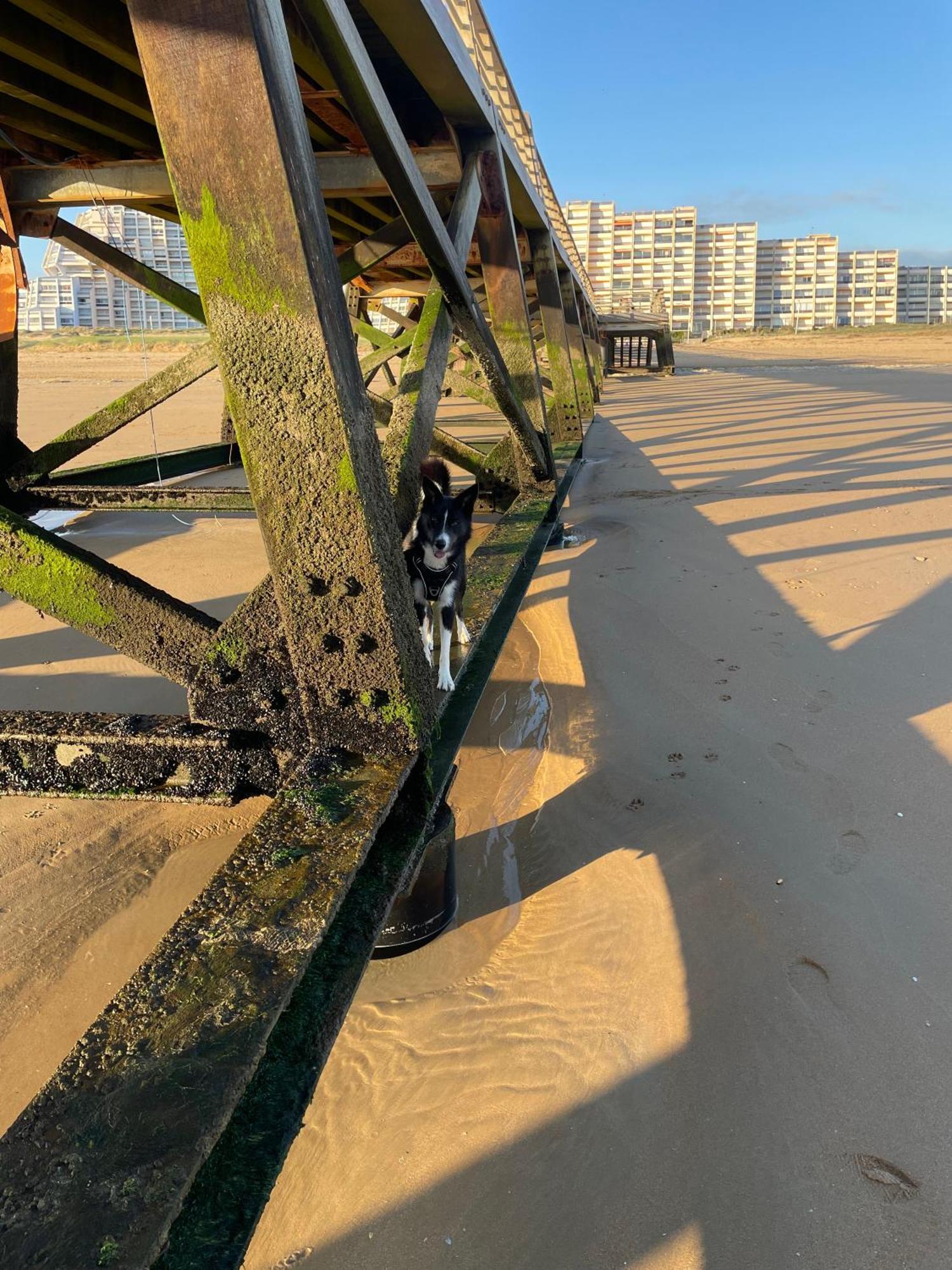 The Spot - 200M De La Plage Saint-Hilaire-de-Riez Buitenkant foto